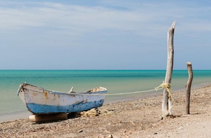 Flamingos of La Guajira