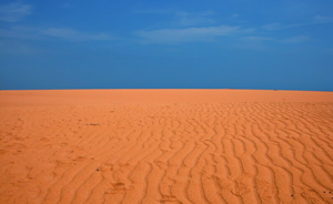 Flamingos of La Guajira