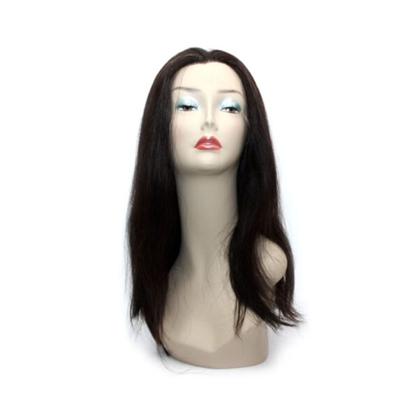 Brazilian Human Hair Lace Front Wig - Abigail